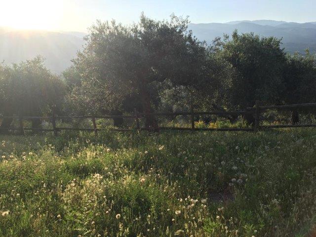 WhatsApp Image 2019-06-23 at 14.20.45 (2)