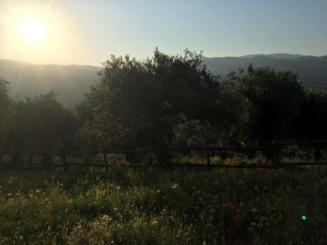 WhatsApp Image 2019-06-23 at 14.20.45