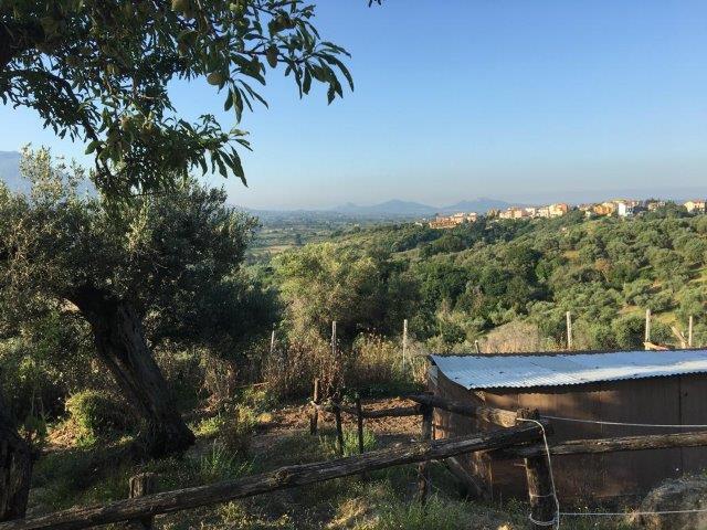 WhatsApp Image 2019-06-23 at 14.20.47 (2)