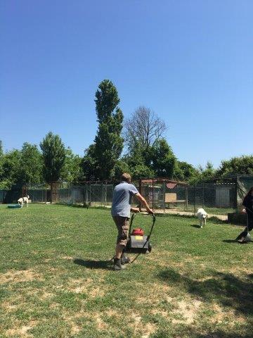 WhatsApp Image 2019-06-23 at 14.20.48 (3)