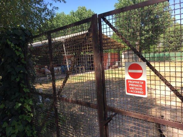 WhatsApp Image 2019-06-23 at 14.20.49 (1)