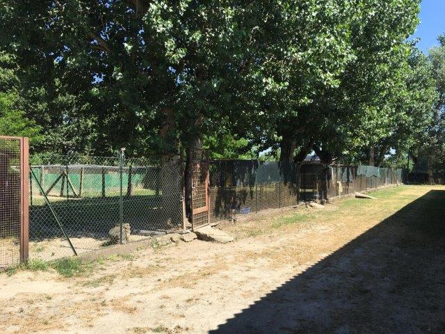 WhatsApp Image 2019-06-23 at 14.20.49 (6)