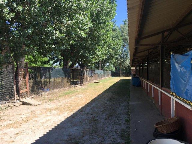 WhatsApp Image 2019-06-23 at 14.20.49 (7)