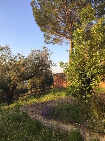 WhatsApp Image 2019-06-23 at 14.21.28 (12)