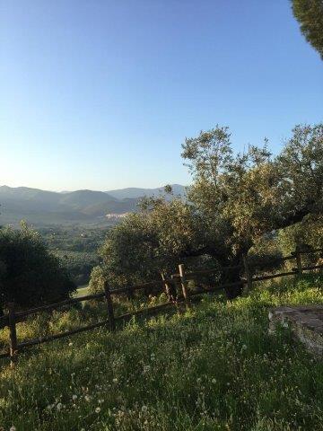 WhatsApp Image 2019-06-23 at 14.21.28 (13)