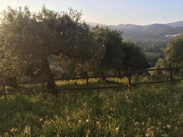 WhatsApp Image 2019-06-23 at 14.21.28 (17)