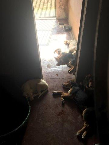 WhatsApp Image 2019-06-23 at 14.21.28 (2)