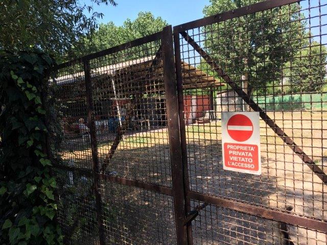 WhatsApp Image 2019-06-23 at 14.21.28 (20)