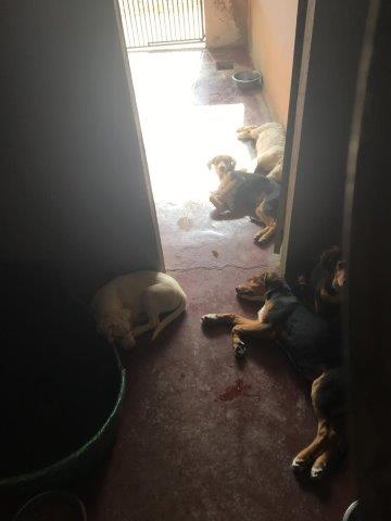 WhatsApp Image 2019-06-23 at 14.21.28 (3)