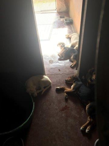 WhatsApp Image 2019-06-23 at 14.21.28 (4)