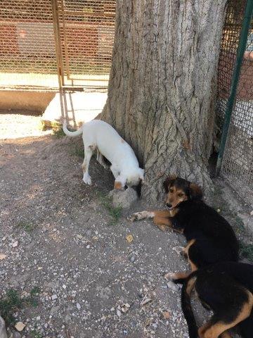 WhatsApp Image 2019-06-23 at 14.22.10 (10)