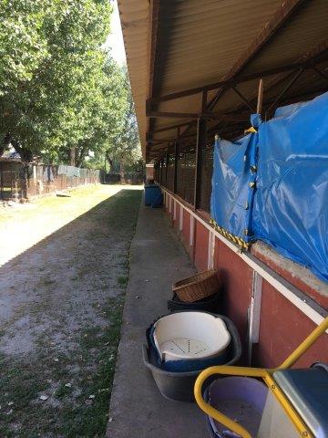 WhatsApp Image 2019-06-23 at 14.22.10 (4)