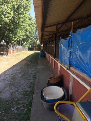 WhatsApp Image 2019-06-23 at 14.22.10 (5)