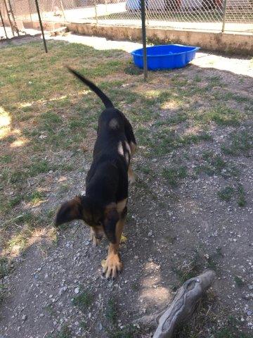 WhatsApp Image 2019-06-23 at 14.22.10 (6)