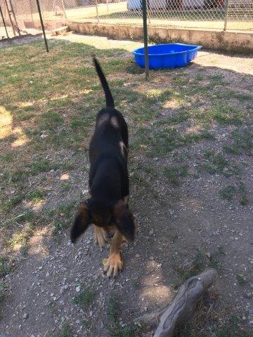 WhatsApp Image 2019-06-23 at 14.22.10 (7)