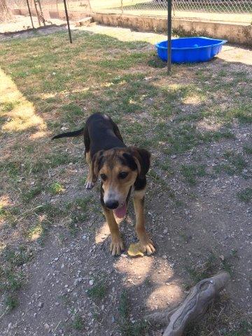 WhatsApp Image 2019-06-23 at 14.22.10 (9)