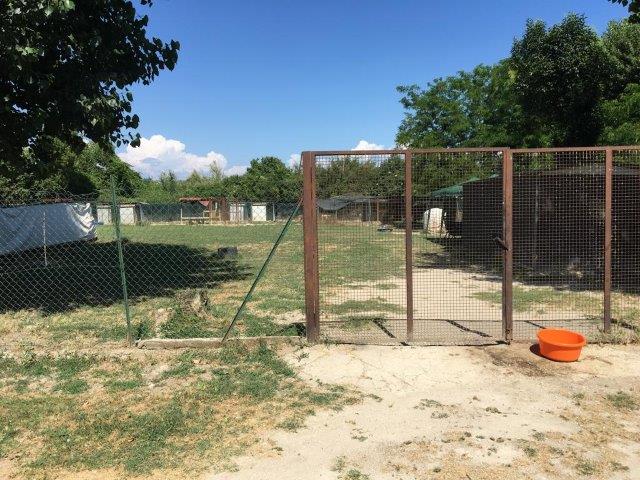 WhatsApp Image 2019-06-23 at 14.22.10