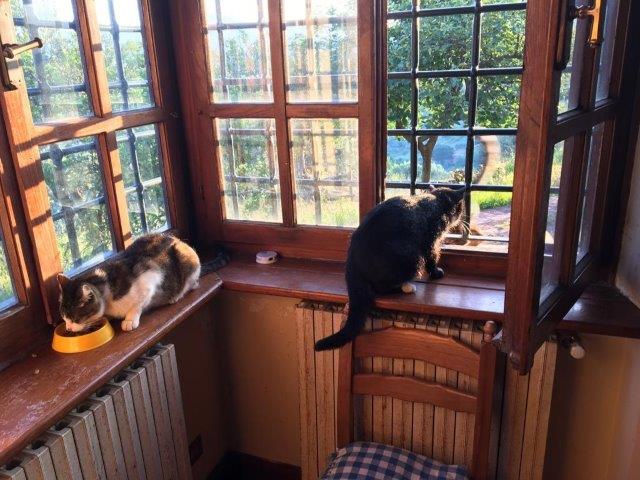 WhatsApp Image 2019-06-23 at 14.22.11 (6)