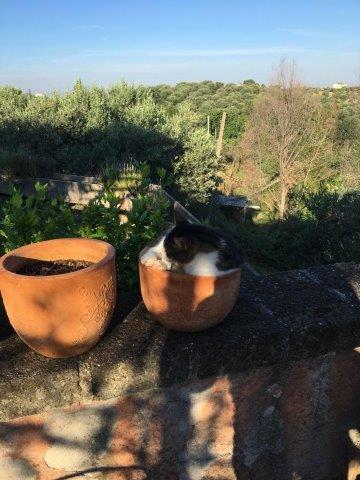 WhatsApp Image 2019-06-23 at 14.22.12 (1)