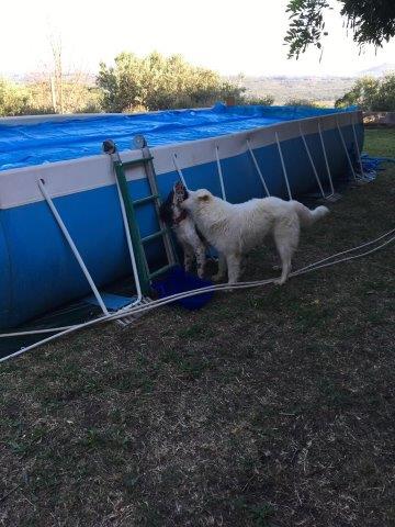 WhatsApp Image 2019-06-23 at 14.22.12 (2)