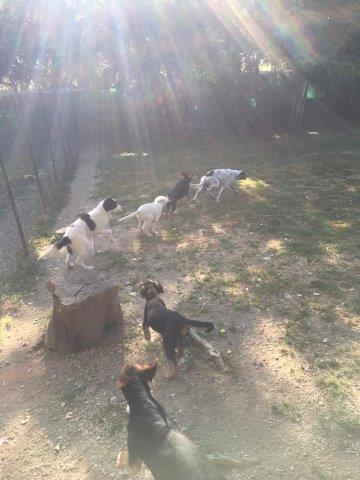 WhatsApp Image 2019-06-23 at 14.22.12 (4)