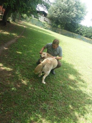 WhatsApp Image 2019-06-25 at 16.42.01 (2)