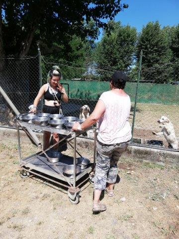 WhatsApp Image 2019-06-27 at 19.13.09 (1)