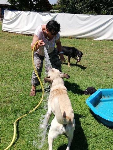 WhatsApp Image 2019-06-27 at 19.13.09 (2)