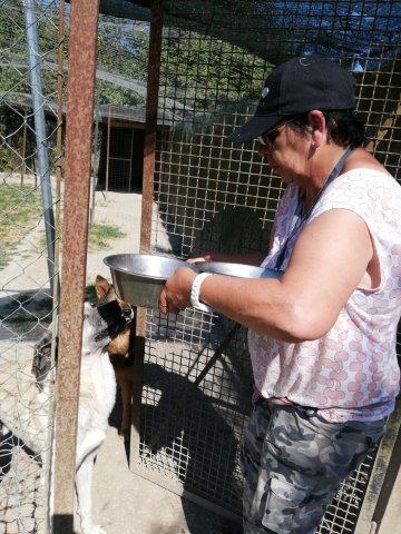 WhatsApp Image 2019-06-27 at 19.13.09 (3)