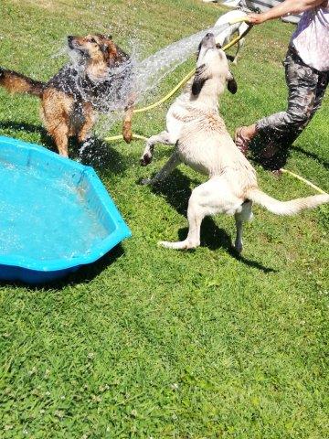 WhatsApp Image 2019-06-27 at 19.13.10