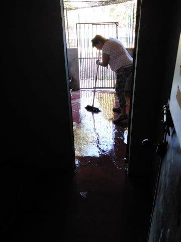 WhatsApp Image 2019-06-27 at 19.16.54