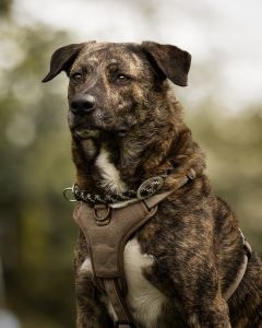 kommt nur mit Frauen zurecht