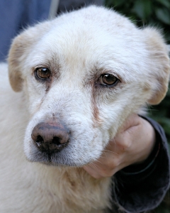 seit 5 Jahren im Lager