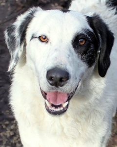 war doch nicht gewollt