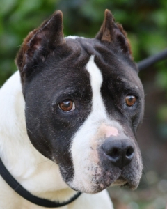 wäre im Lager fast gestorben