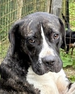 verliert alles was er kennt