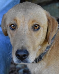 ihr Bruder darf ausreisen