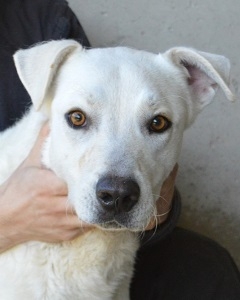 braucht kein Mitleid