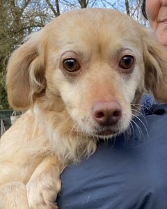 lebte in unwürdigen Verhältnissen