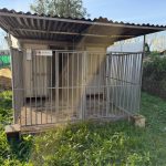 WhatsApp Bild 2025-11-30 um 09.07.42_7c681d67