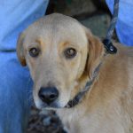 resized to width 1200 09/10/2025 17