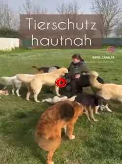 Tierschutz hautnah – Film ansehen